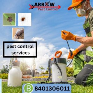 Cockroaches Pest Control Services