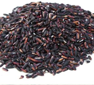 Organic black rice