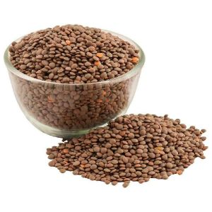 Organic Brown Masoor Dal