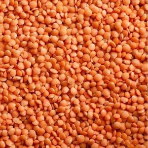 Organic Red Lentil