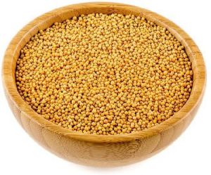 Organic Yellow Mustard Seeds