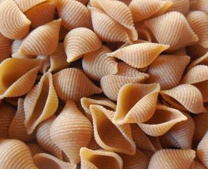 Whole Wheat Conchiglie Pasta