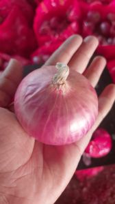Indian Onion