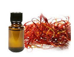 Absolute Oil