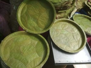 Natural Leaf Plates