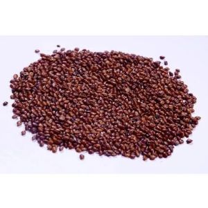 Hedge Lucerne Seeds