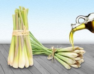 Lemongrass Oil