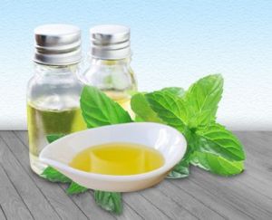 Mentha Arvensis Oil