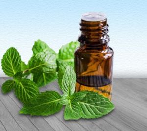 Spearmint Oil