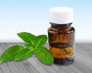 Spearmint Oil