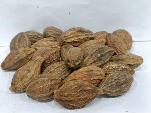 Terminalia Chebula