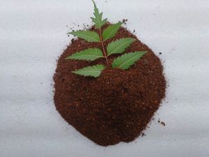 Organic Neem Cake Powder