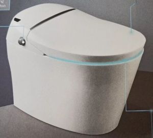 electronic toilet