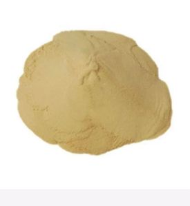 buckwheat protein powder