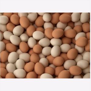 Chicken Eggs Ostrich Eggs, Chicken Eggs, Turkey Eggs Fresh Table Eggs Brown