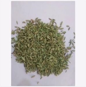 Fennel Seeds