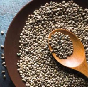 Hemp Seeds