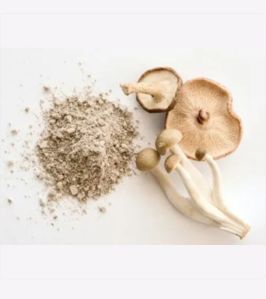 Organic Shiitake Mushroom Brown Yellow Powder Shiitake Mushroom Extract