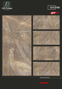 600x1200mm Carving Pgvt Floor Tile