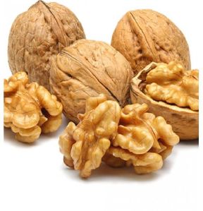 Shelled Walnuts