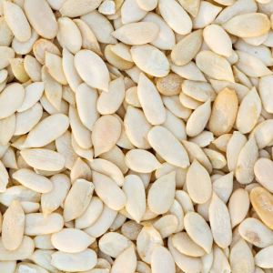 Muskmelon Seeds