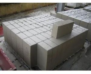 Fly Ash Bricks