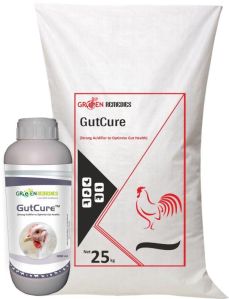 gutcure poultry feed additives