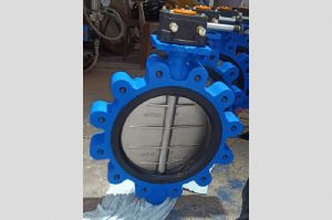 Butterfly Valve
