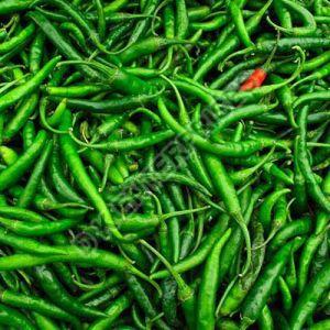 Fresh Green Chilli