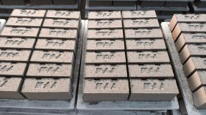 Fly Ash Brick