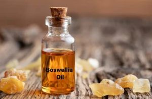 boswellia oil