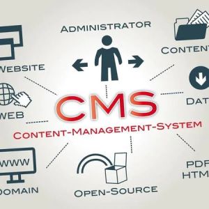 Digital Content Management Services