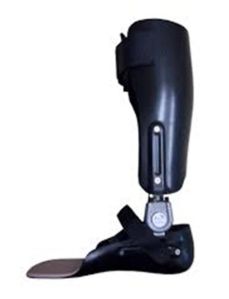 Double Joint Ankle Foot Orthosis