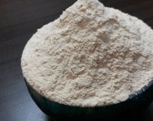 Dehydrated White Onion Powder