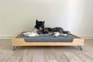 Wooden Pet Bed