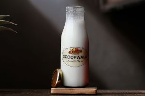 Vanilla Shake