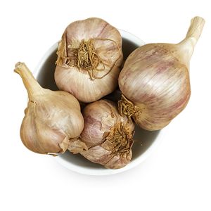 hill garlic