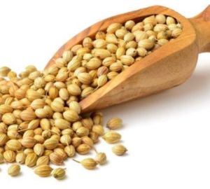 Coriander Seeds