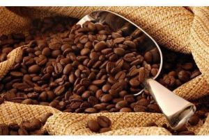 Arabica Coffee Beans