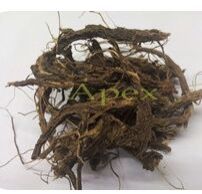 Coleus Root