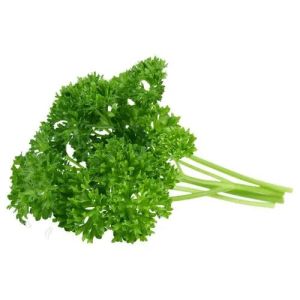 Fresh Parsley Leaves