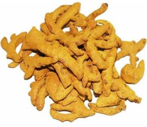 Dried Turmeric Finger