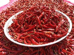 Dried Red Chilli