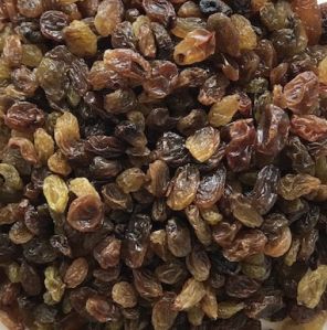 Malayar Raisins