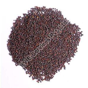 Mustard Seeds