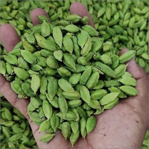 Cardamom