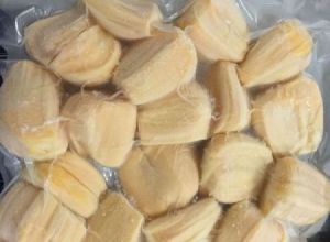 Frozen Jackfruit