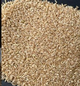 Sona Brown Rice