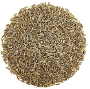 Cumin Seeds