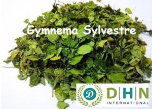 Gymnema Sylvestre Leaves